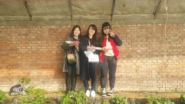 f1cb4cd.jpg f1cb4cd.jpg